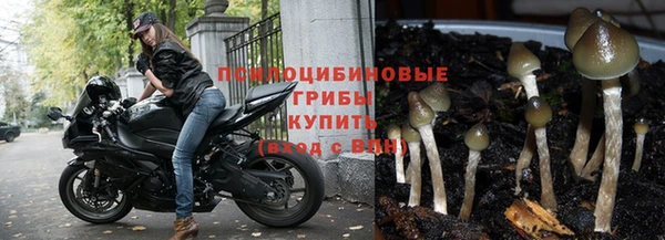 каннабис Абинск