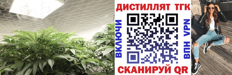 omg tor Струнино Дистиллят ТГК концентрат